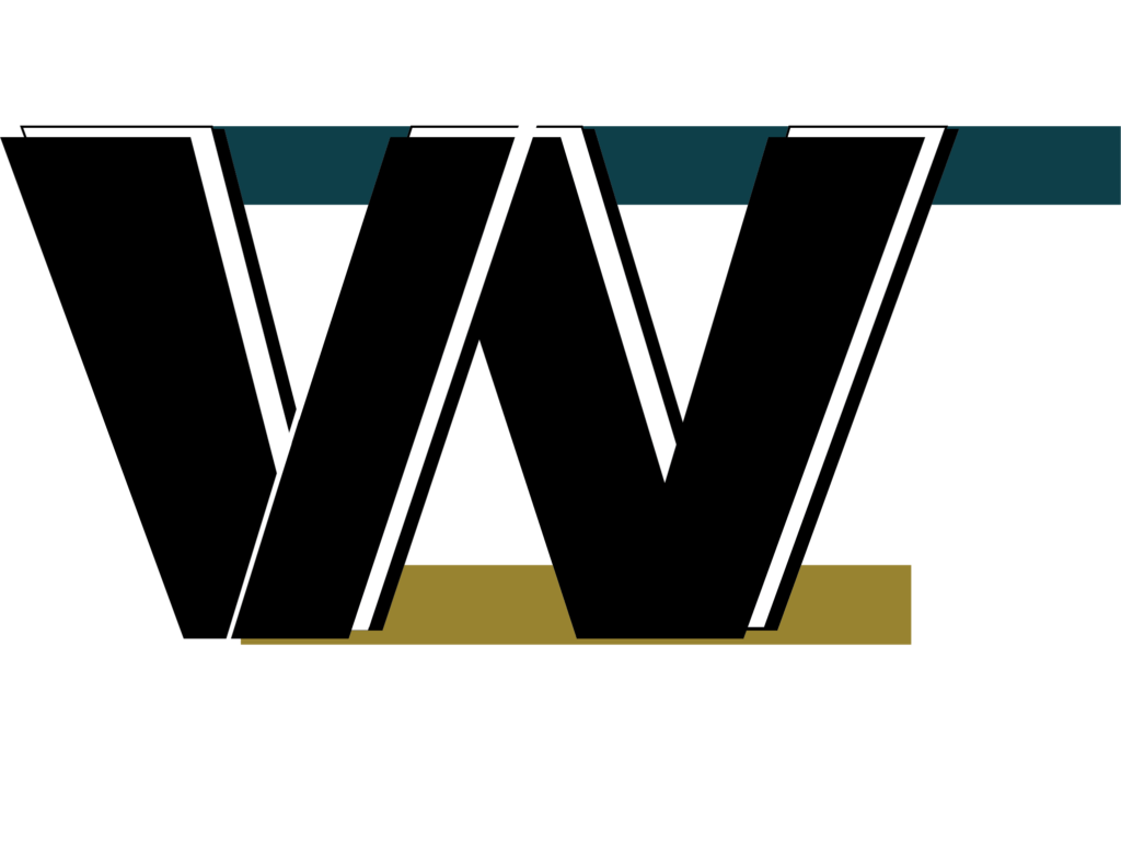 vinzo 1